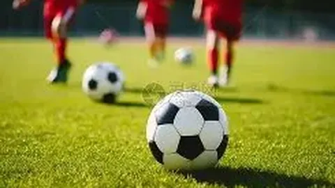 宝威体育 资讯 135749 se3