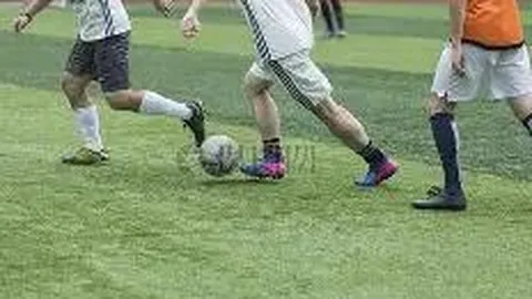 宝威体育 资讯 135804 o0d