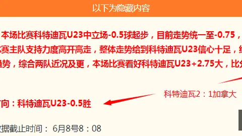 比利时埃及战平解析宝威体育App：哈尼乌龙球成关键，1-1平局悬念未了