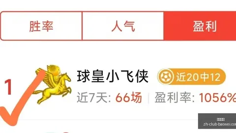 英格兰与阿根廷半决赛对决，首发阵容大世界杯终极指南：首发出炉战局